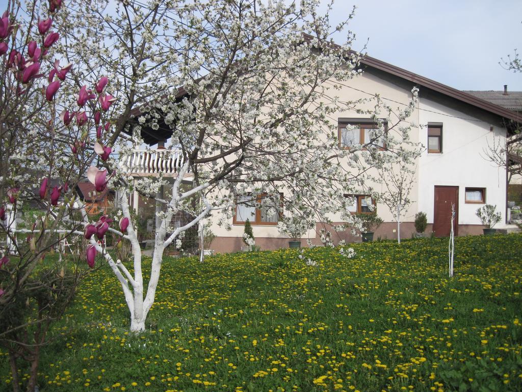 Apartment Yasica Izacic Екстериор снимка